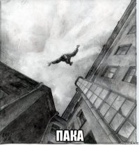  пака
