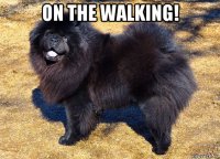on the walking! 