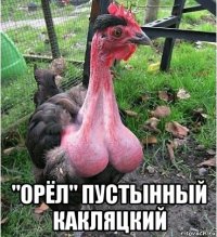  "орёл" пустынный какляцкий