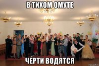 в тихом омуте черти водятся