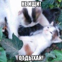 не ищи! отдыхай!