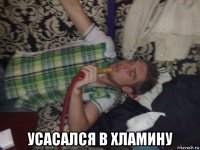  усасался в хламину
