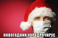  новогодний кородрочирус