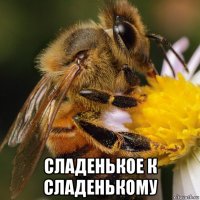 сладенькое к сладенькому