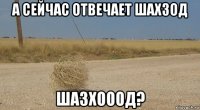 а сейчас отвечает шахзод шазхооод?