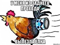 у меня из заднего прохода вылезла ёлка