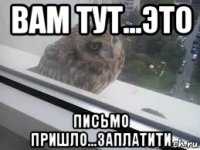 вам тут...это письмо пришло...заплатити