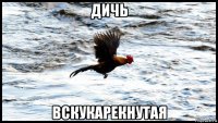 дичь вскукарекнутая