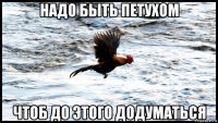 надо быть петухом чтоб до этого додуматься