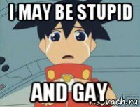 i may be stupid and gay