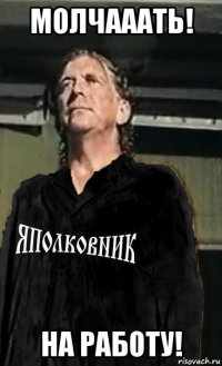молчааать! на работу!
