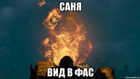 саня вид в фас