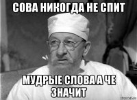 сова никогда не спит мудрые слова а че значит