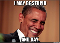 i may be stupid and gay