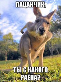 пацанчик, ты с какого раёна?