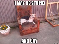 i may be stupid and gay