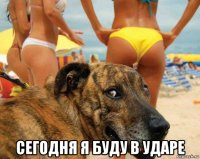  сегодня я буду в ударе
