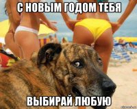 с новым годом тебя выбирай любую