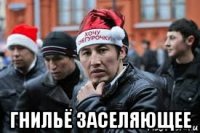  гнильё заселяющее