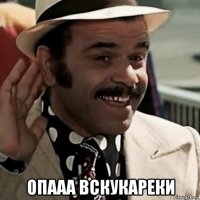  опааа вскукареки