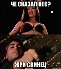 че сказал пес? жри свинец