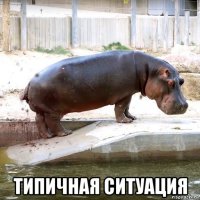  типичная ситуация