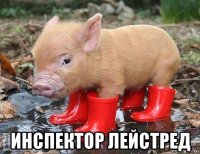  инспектор лейстред