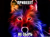 привееет не зырь