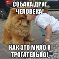 собака друг человека! как это мило и трогательно!