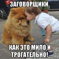 заговорщики. как это мило и трогательно!