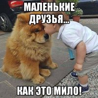 маленькие друзья... как это мило!