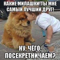 какие милашки!ты мне самый лучший друг! ну, чёго, посекретничаем?