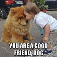  you are a good friend, dog