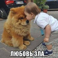  любовь зла...