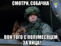 смотри, собачка вон того с полумесяцем - за яйца!