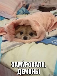  замуровали, демоны