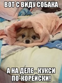 вот с виду собака а на деле - кукси по-корейски!