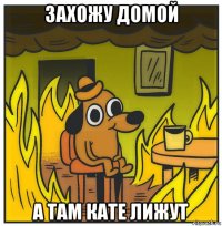 захожу домой а там кате лижут