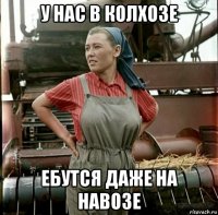 у нас в колхозе ебутся даже на навозе