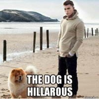  the dog is hillarous