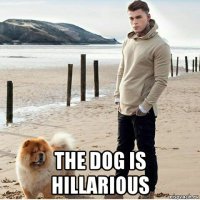  the dog is hillarious
