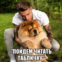  "пойдем читать табличку"