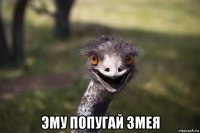  эму попугай змея