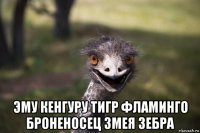  эму кенгуру тигр фламинго броненосец змея зебра