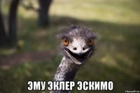  эму эклер эскимо