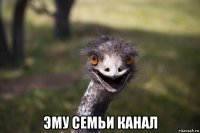 эму семьи канал