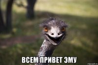  всем привет эму