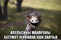  апельсины макароны бегемот фуфайка уши заячьи