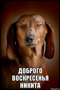  доброго воскресенья никита