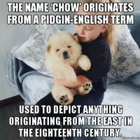 the name ‘chow’ originates from a pidgin-english term used to depict anything originating from the east in the eighteenth century.